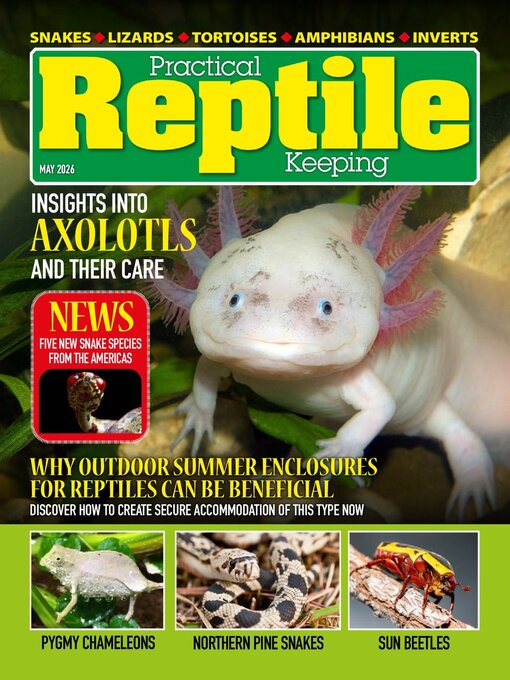 Cover image for Practical Reptile Keeping